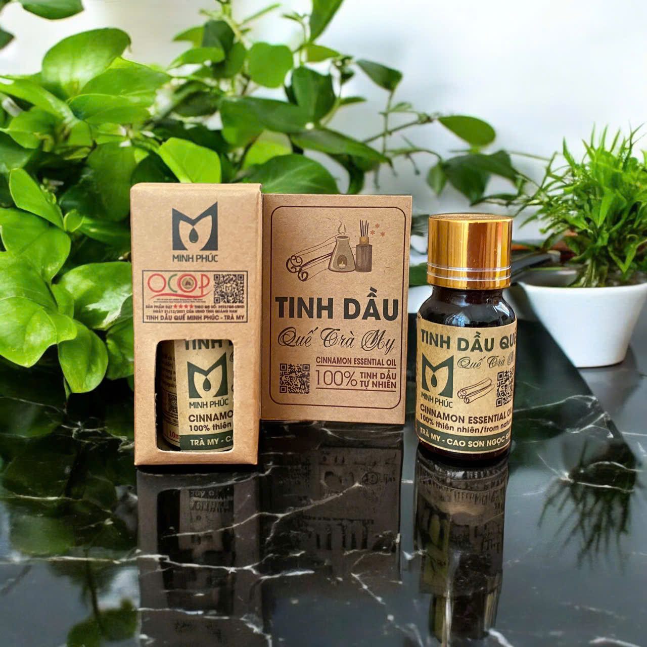 z7236066096236_4c7d324ab9493a5ab34e950c2672007f