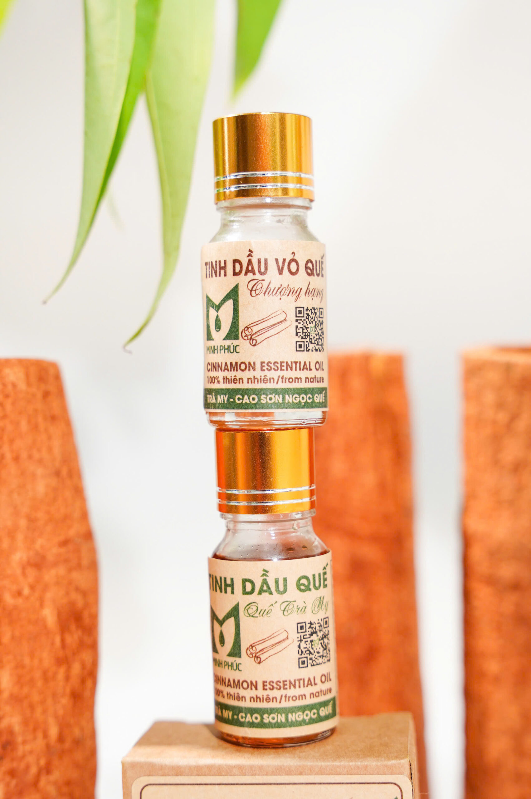 z7236764094731_fee04a42e6df10b03a31ee6c5af79063