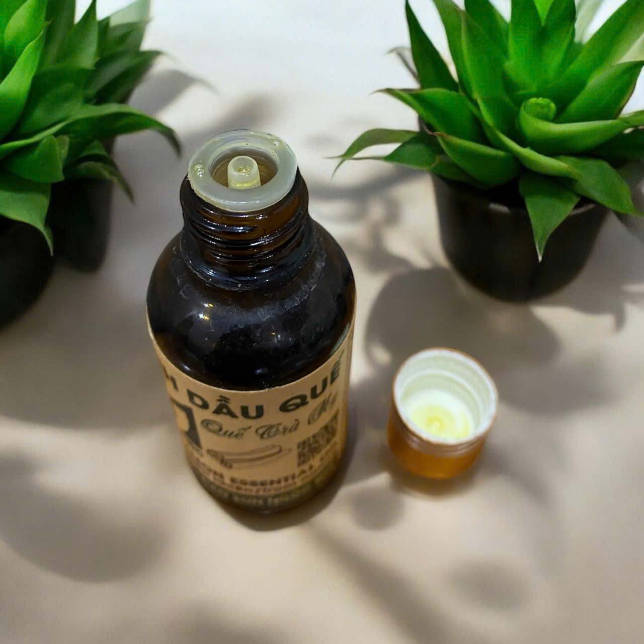 z7236289719914_eb13fc779f5477e123a7ac1bd7c05dce