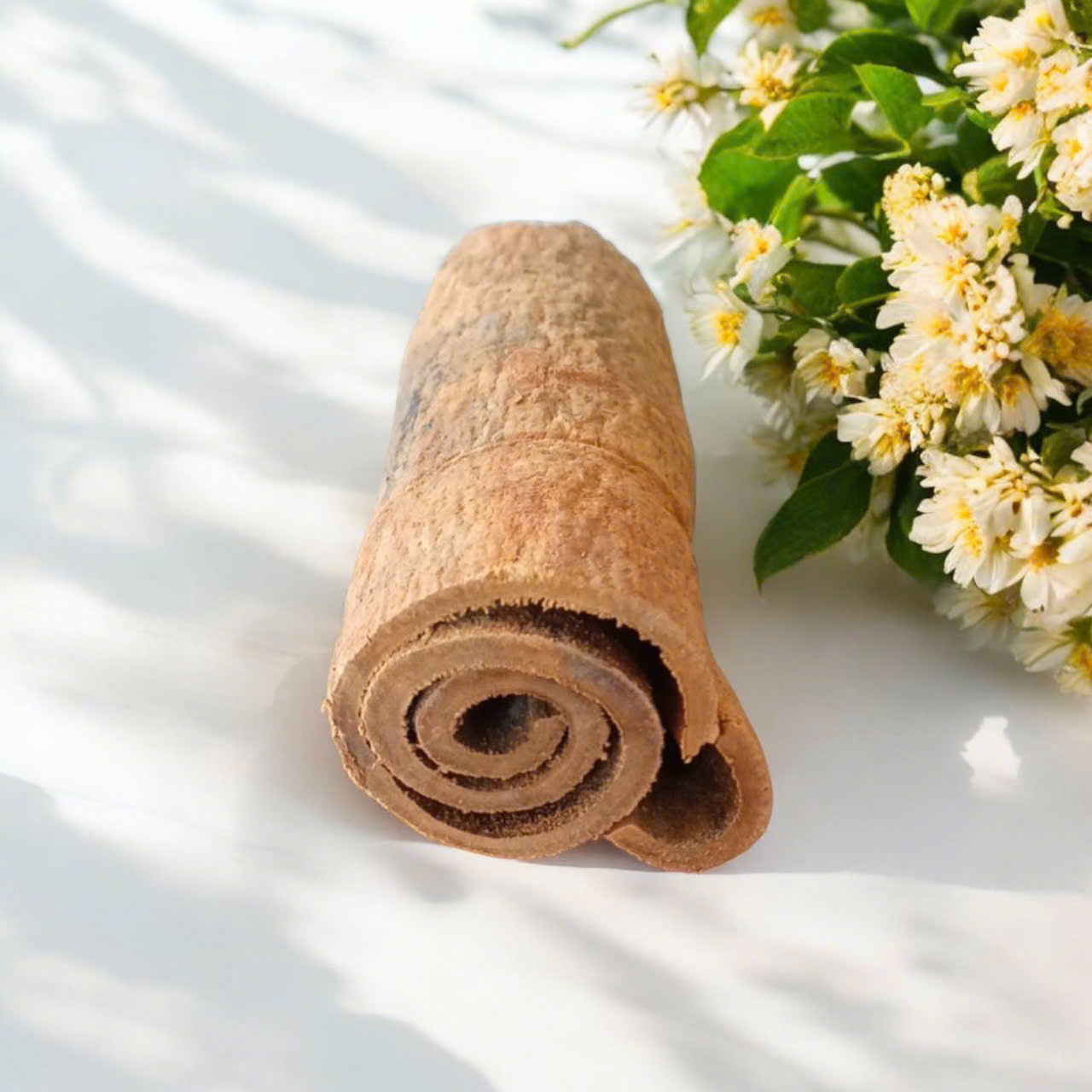 z5776181288899_108bfa14b1136da1a2415cc1389c9bb8