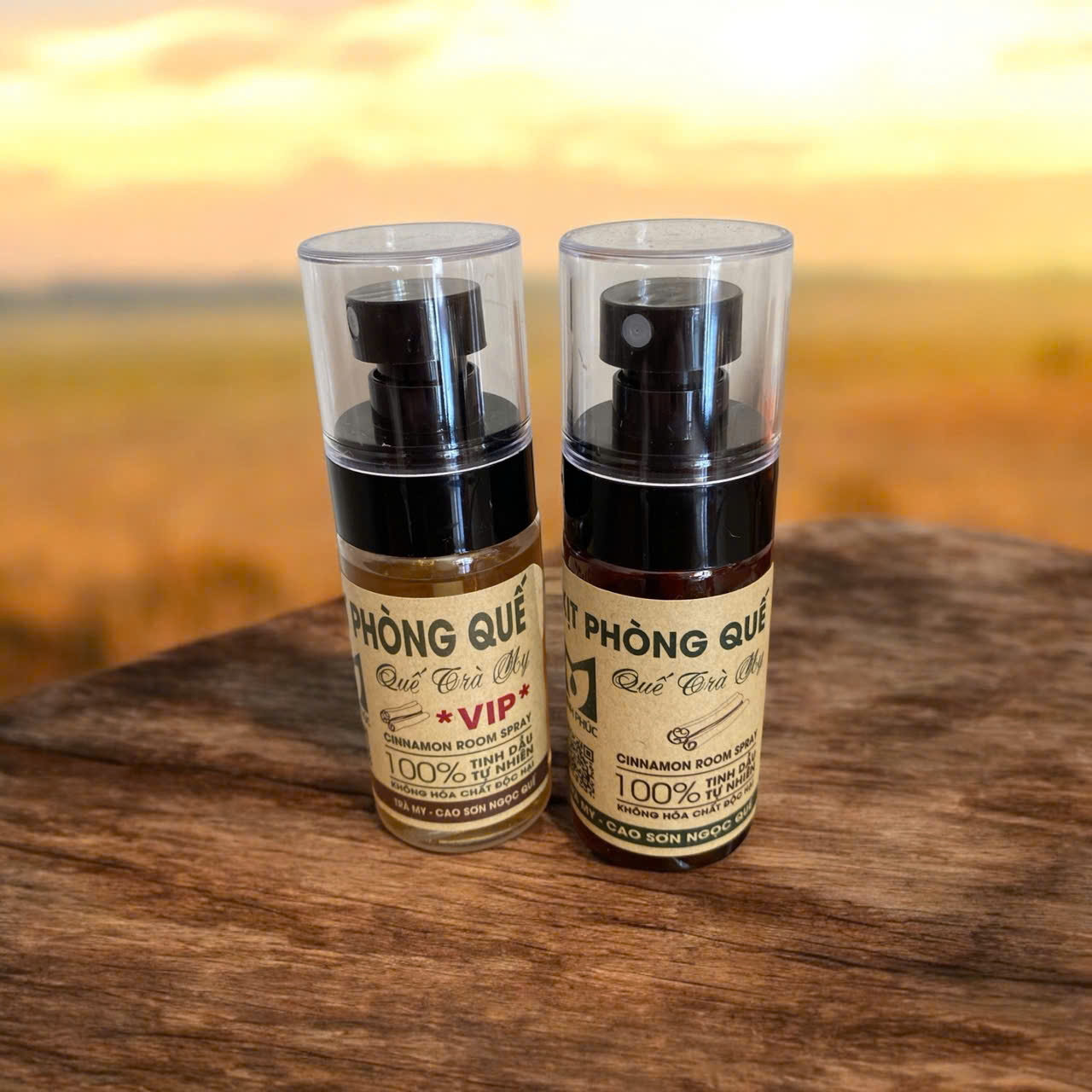 z7236289682540_3244264c5eebc8c4dd68d36a07e270ea